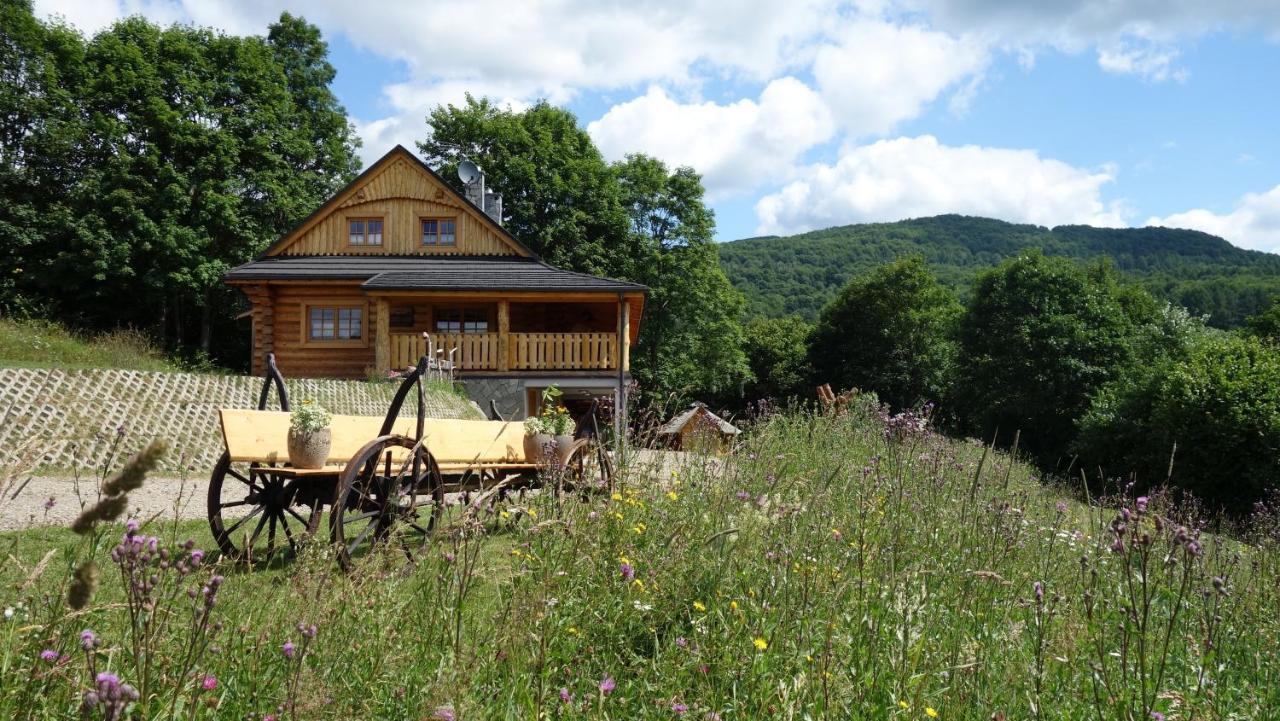 Hotel Bieszczadzkie Marzenie Wetlina Zewnętrze zdjęcie