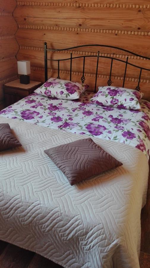 Hotel Bieszczadzkie Marzenie Wetlina Zewnętrze zdjęcie