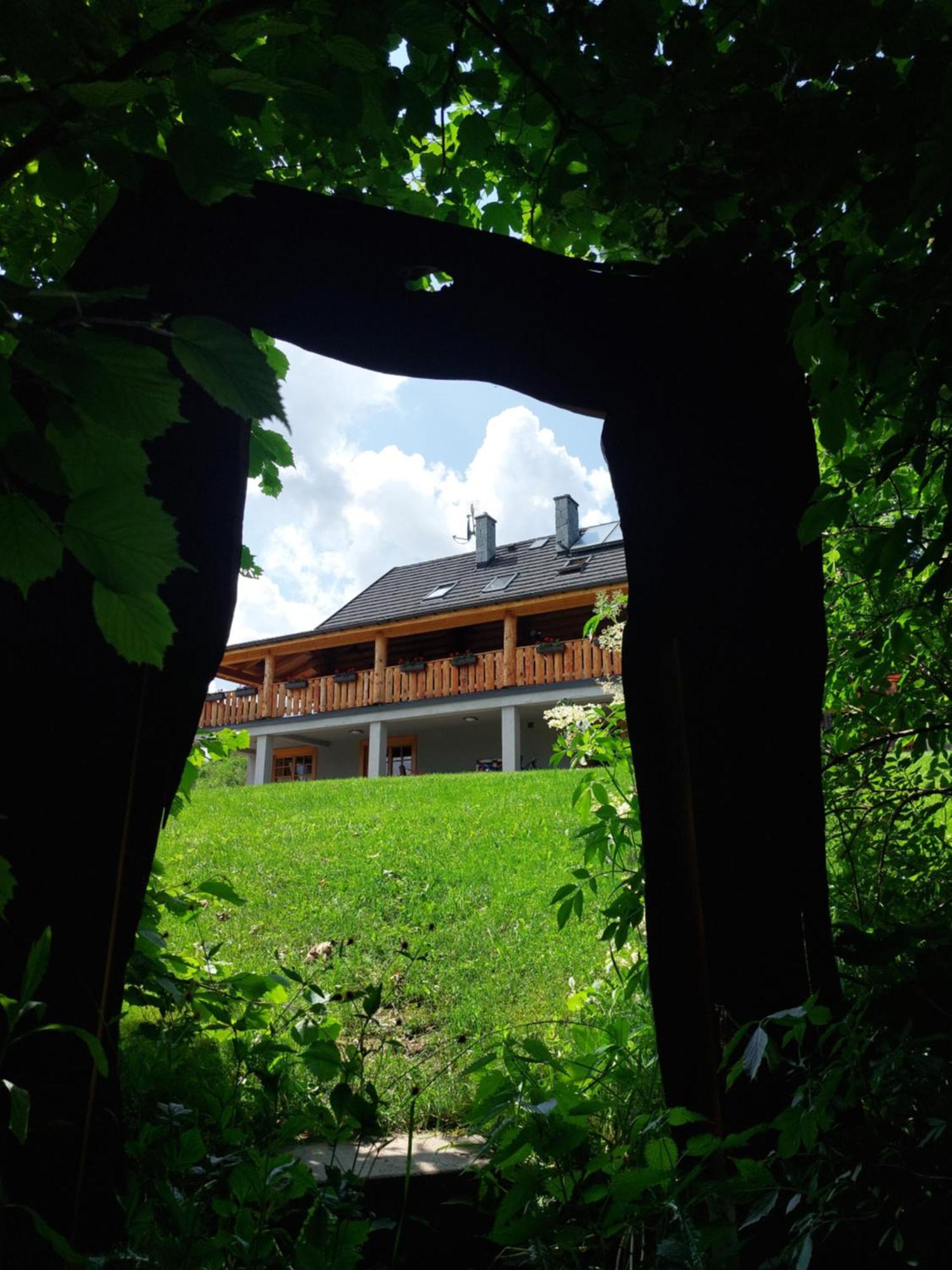 Hotel Bieszczadzkie Marzenie Wetlina Zewnętrze zdjęcie